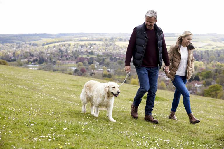 Bandscheibenvorfall beim Hund